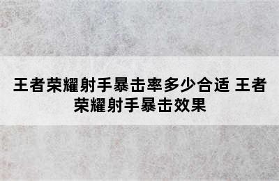 王者荣耀射手暴击率多少合适 王者荣耀射手暴击效果